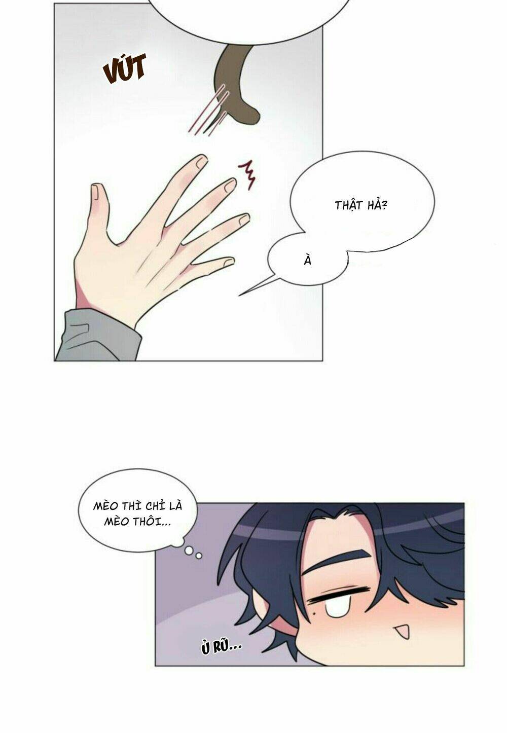 page_19.jpg