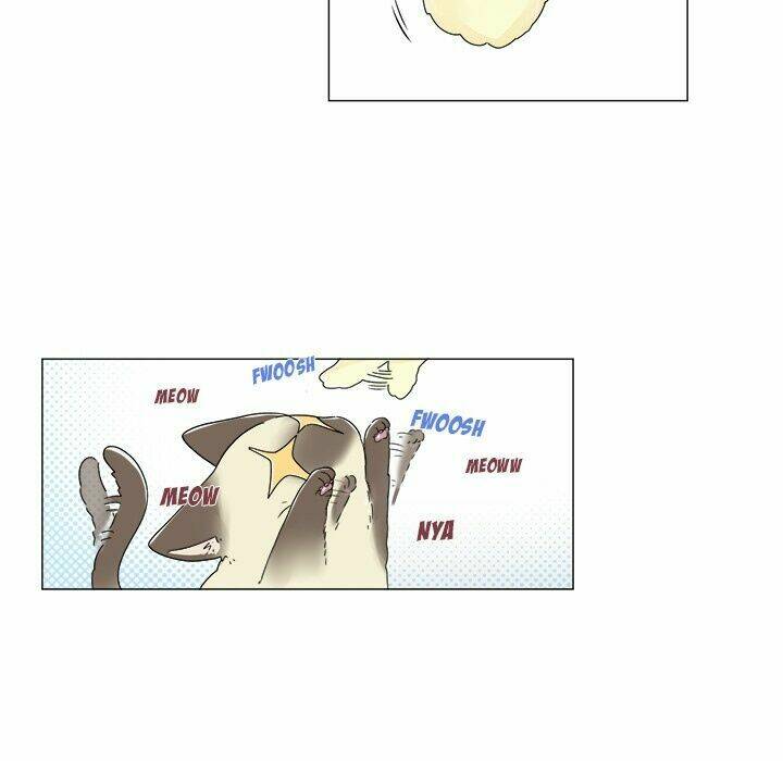 page_27.jpg
