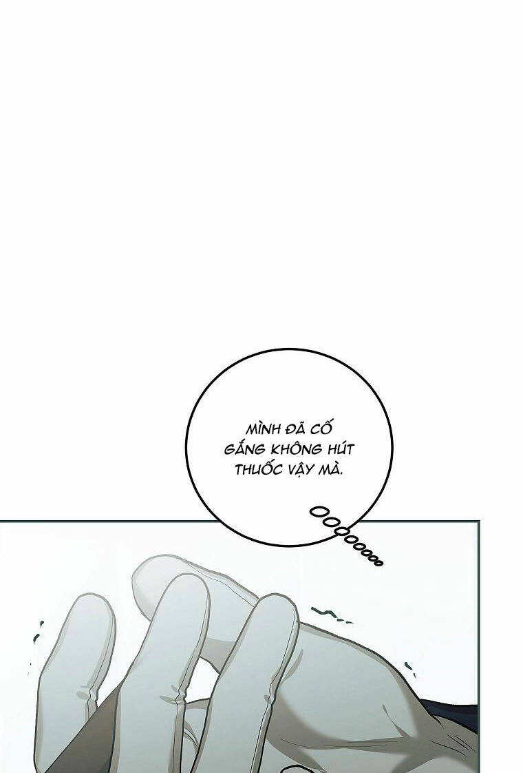 page_27.jpg
