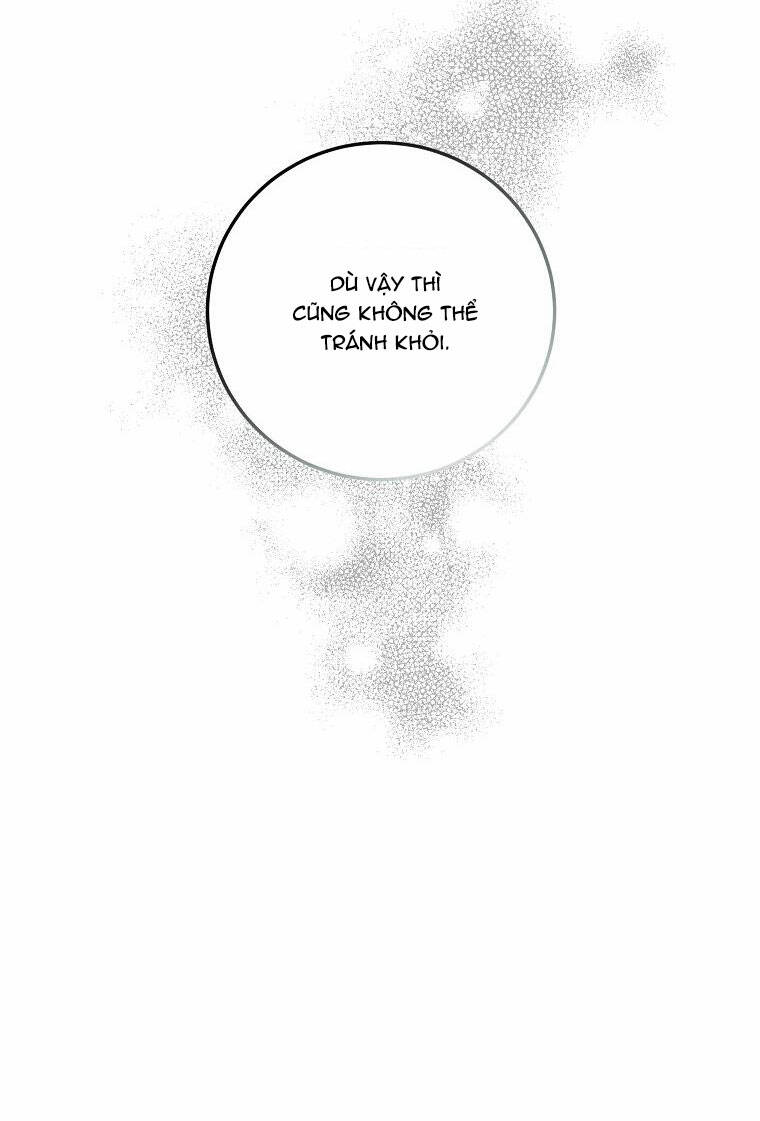 page_41.jpg