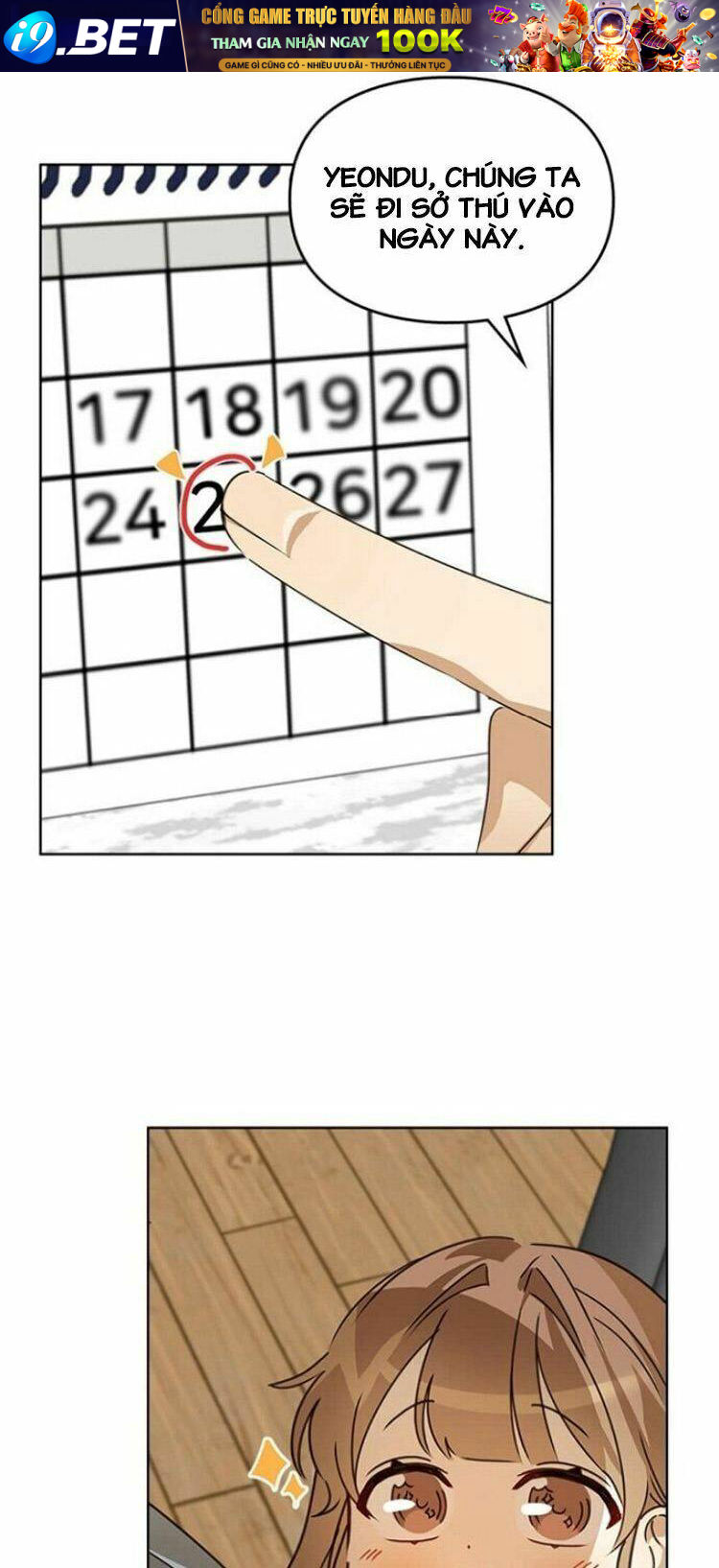page_40.jpg