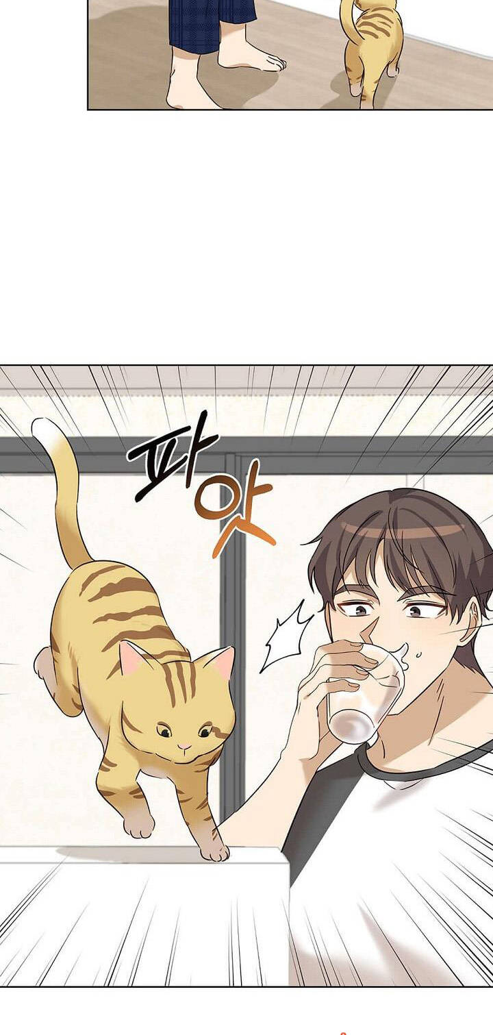 page_24.jpg