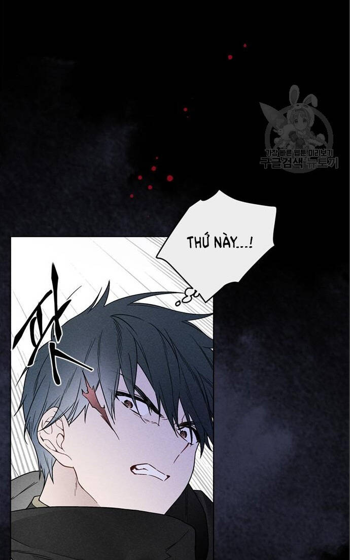 page_19.jpg