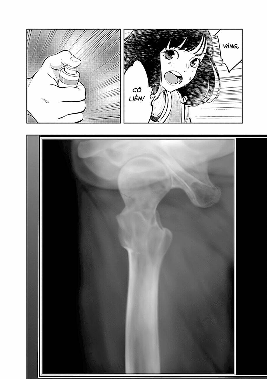 page_17.jpg
