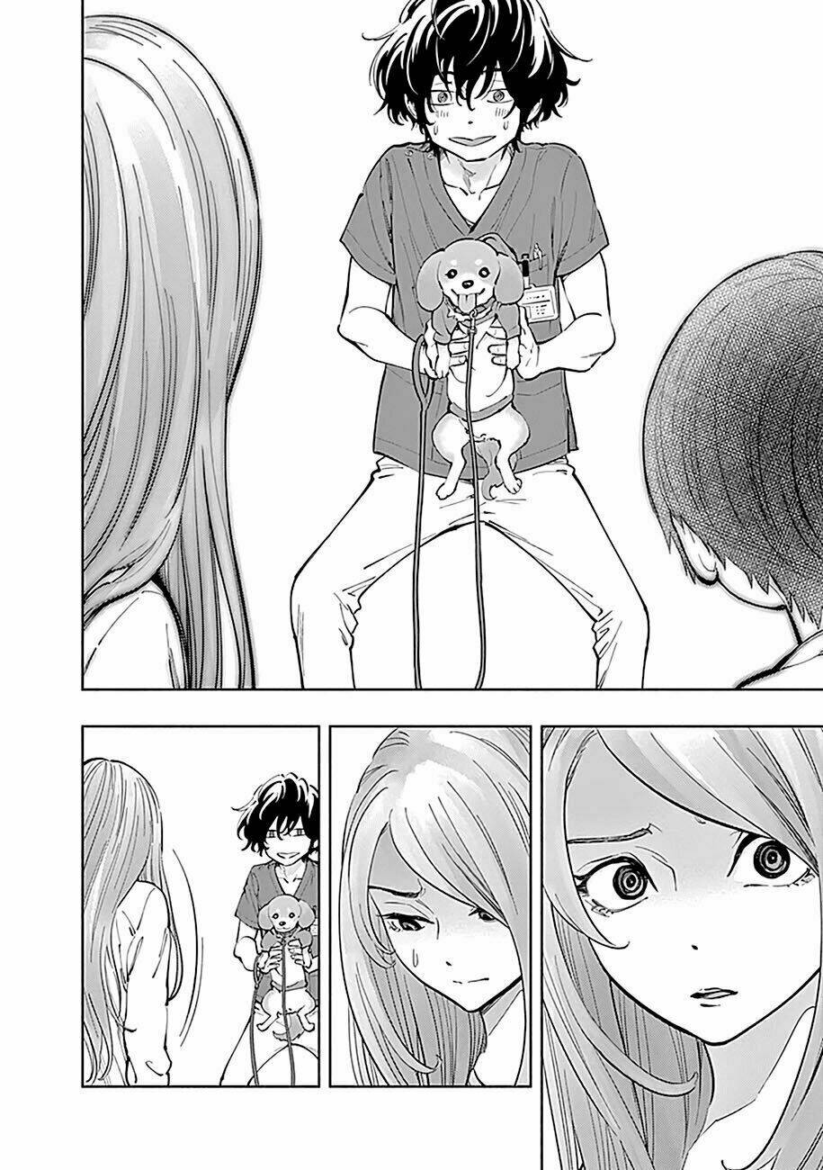 page_19.jpg