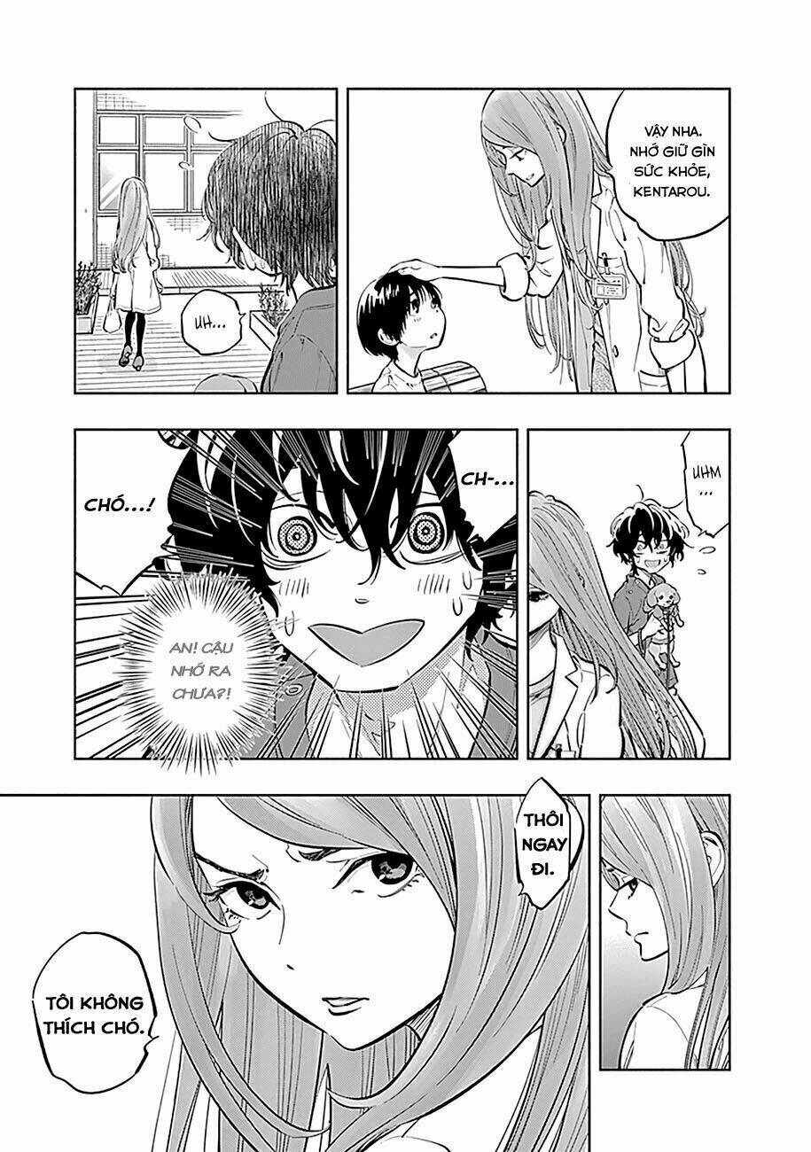 page_20.jpg