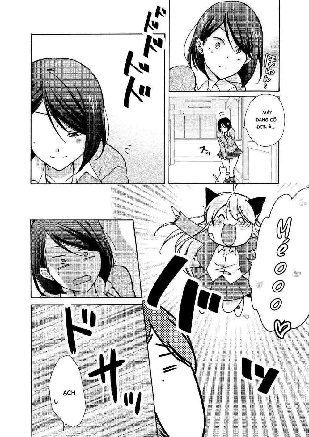 page_16.jpg