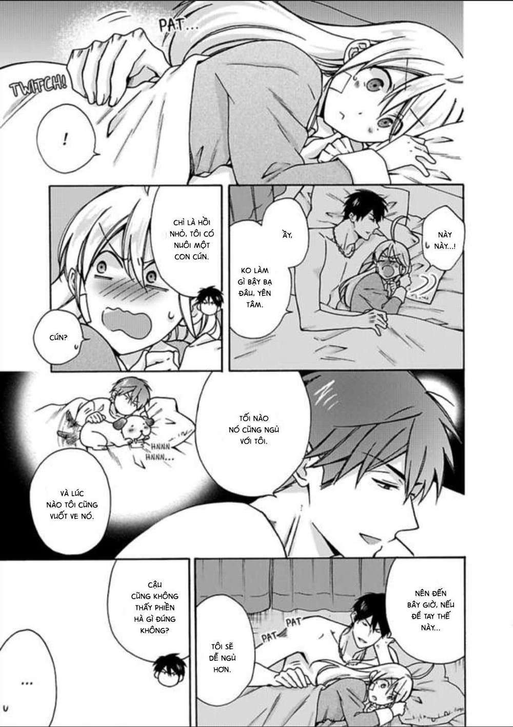 page_19.jpg