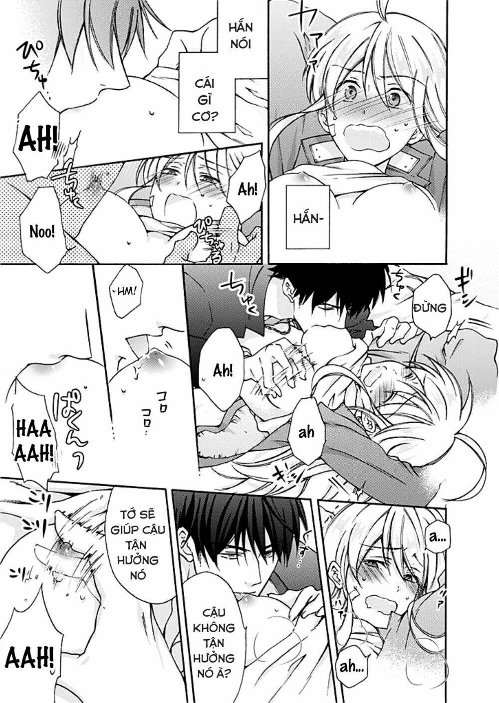 page_19.jpg