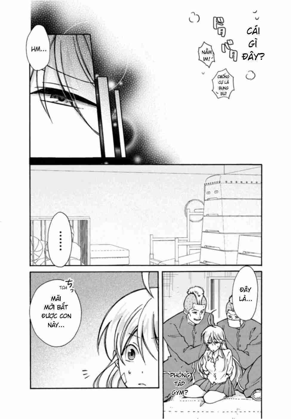 page_29.jpg