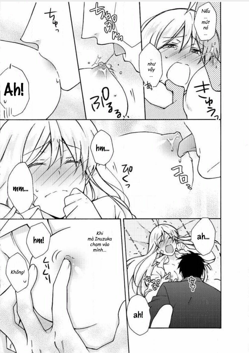 page_17.jpg
