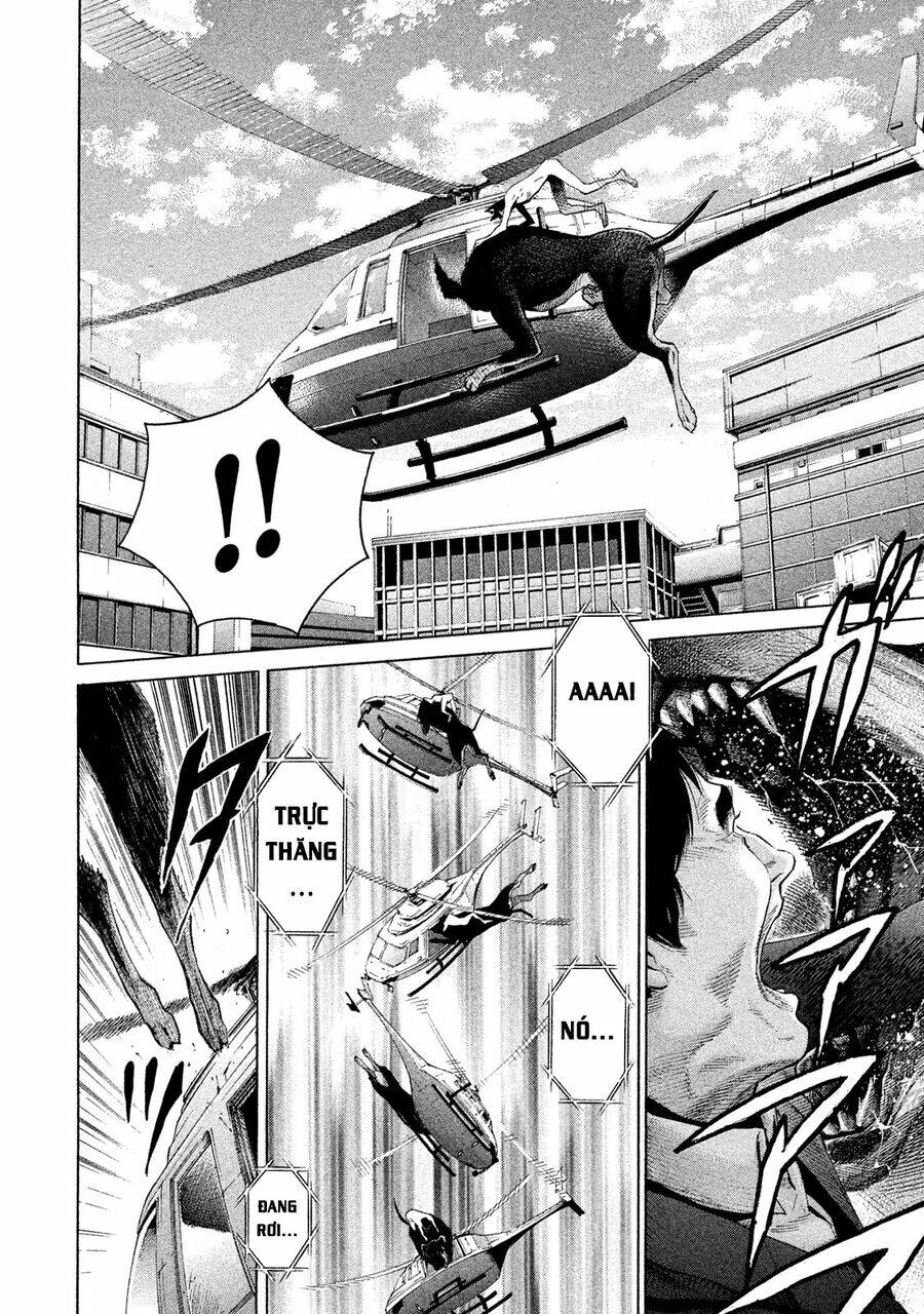 page_22.jpg