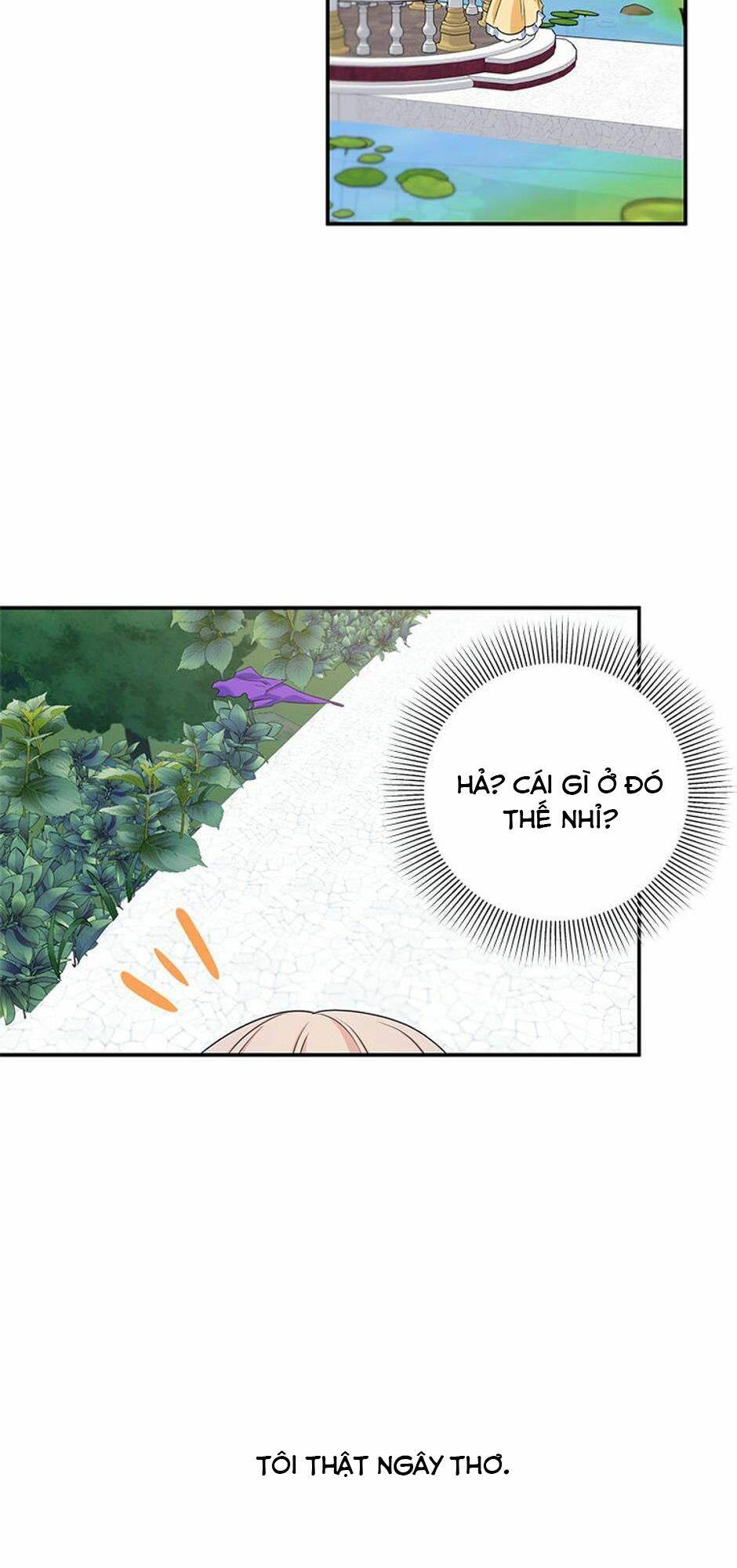 page_53.jpg