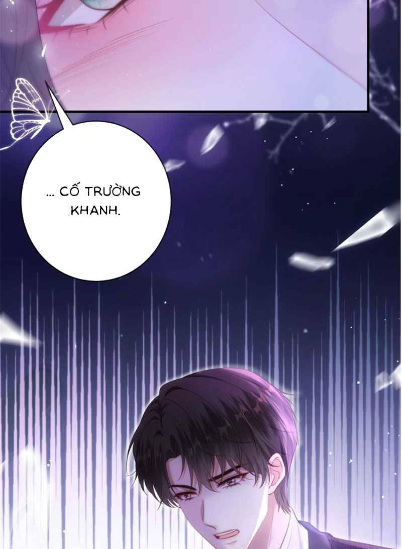page_24.jpg