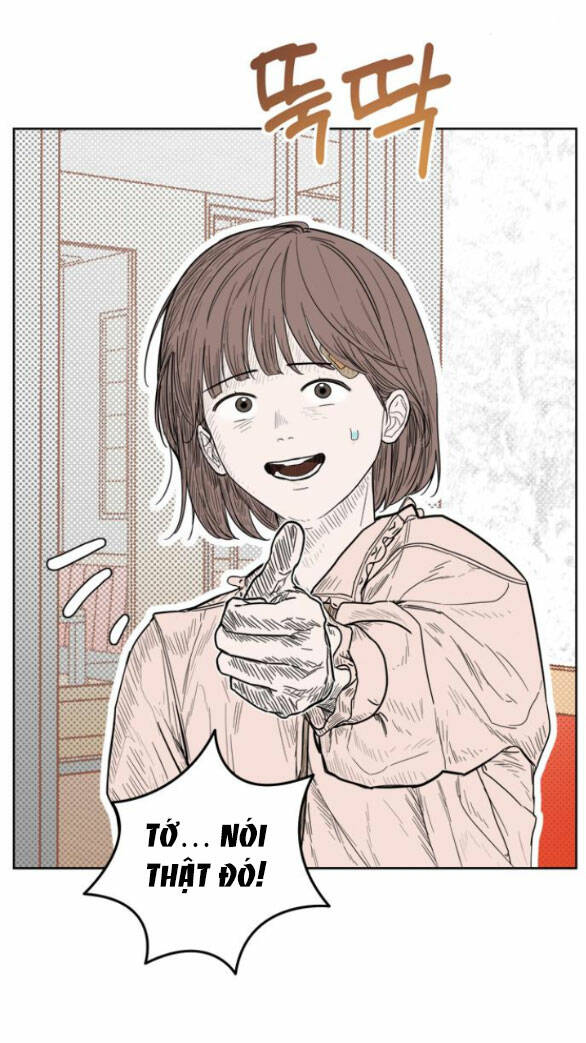 page_36.jpg