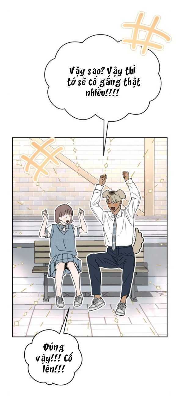 page_29.jpg