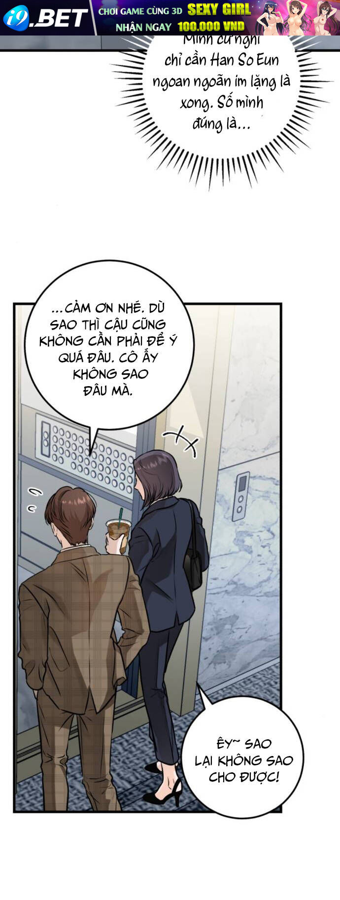 page_19.jpg