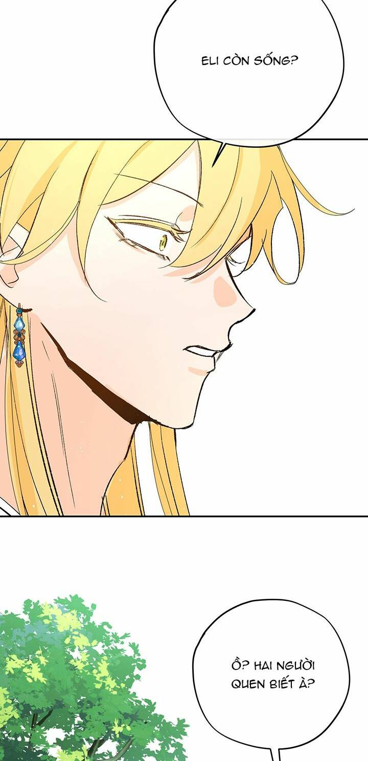 page_27.jpg