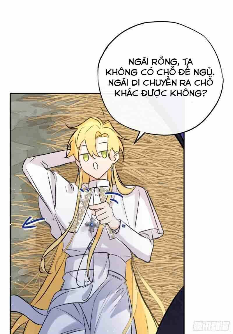page_34.jpg