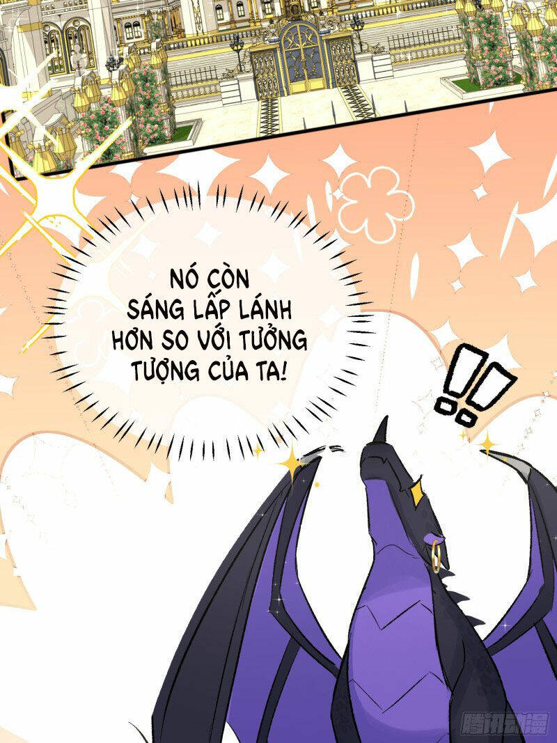 page_20.jpg