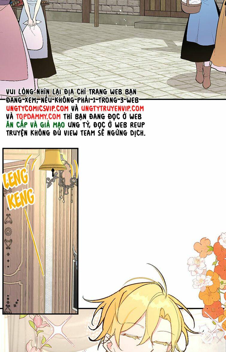 page_19.jpg