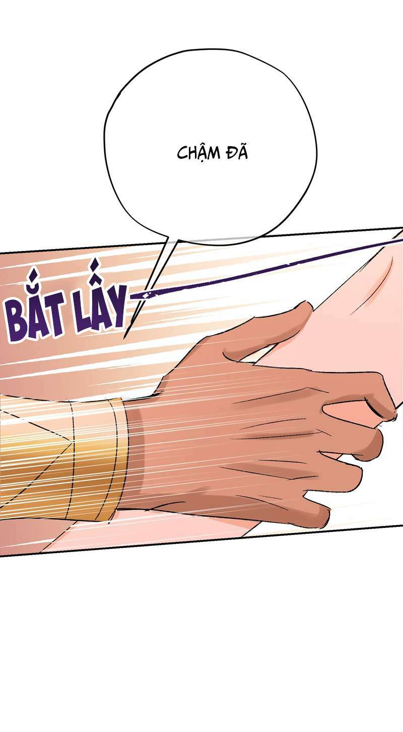 page_28.jpg