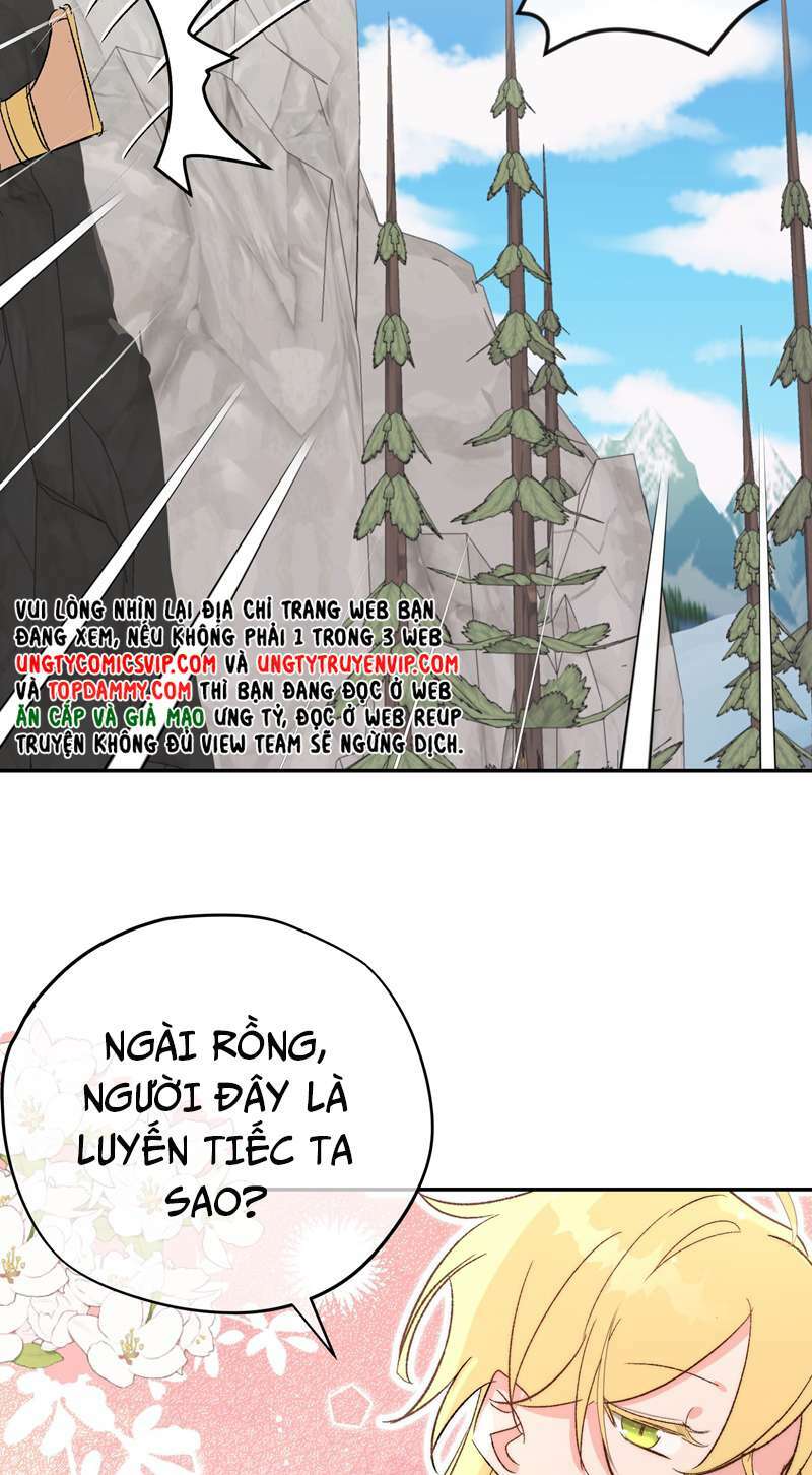 page_34.jpg