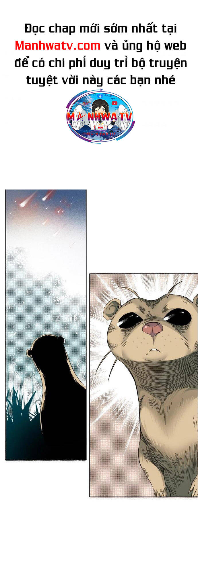 page_15.jpg