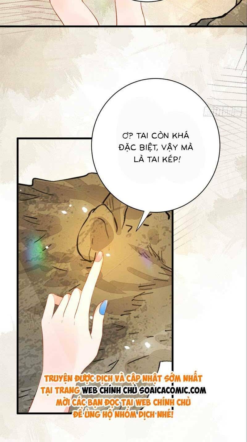 page_28.jpg