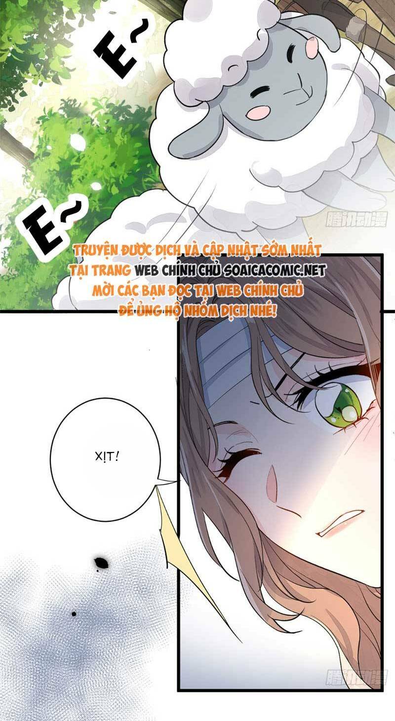 page_15.jpg