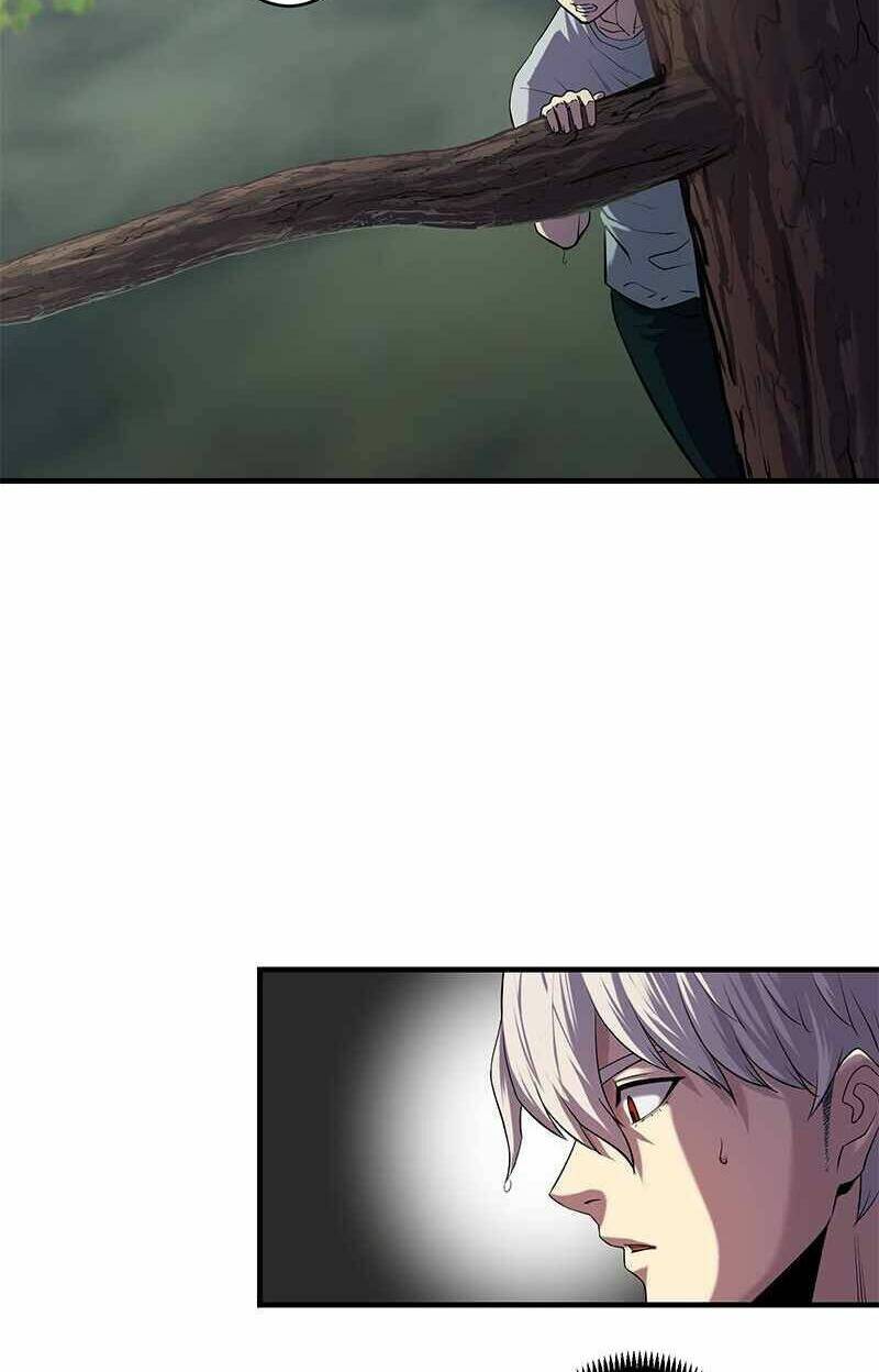 page_21.jpg