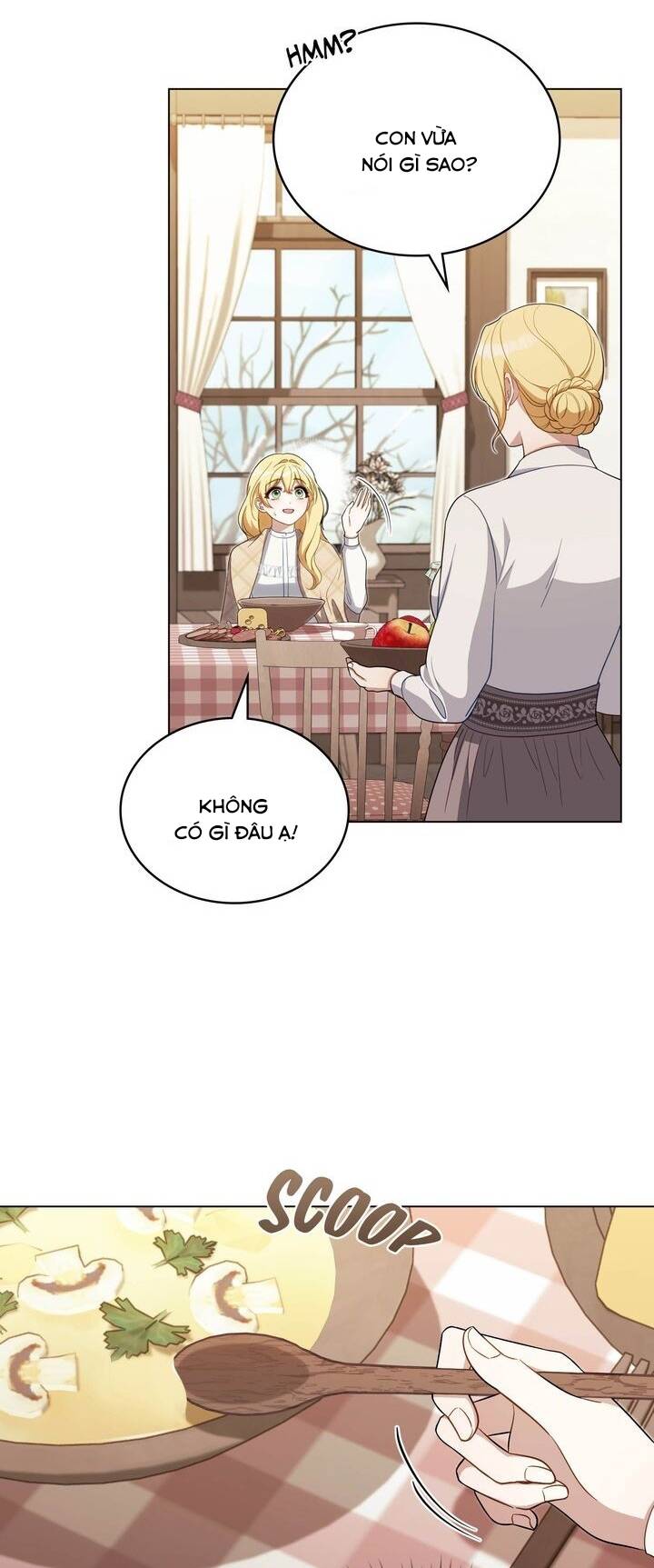 page_29.jpg