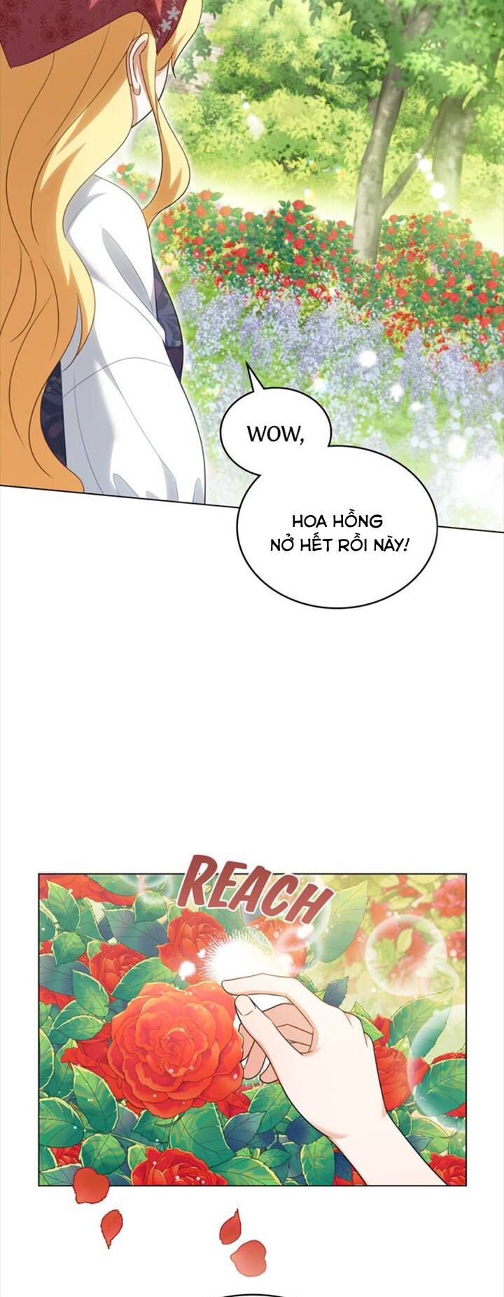 page_23.jpg