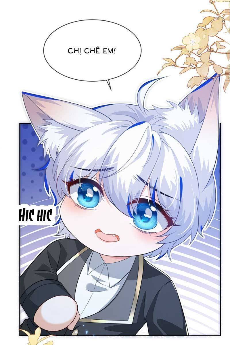 page_19.jpg