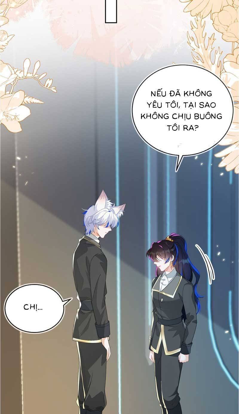 page_25.jpg