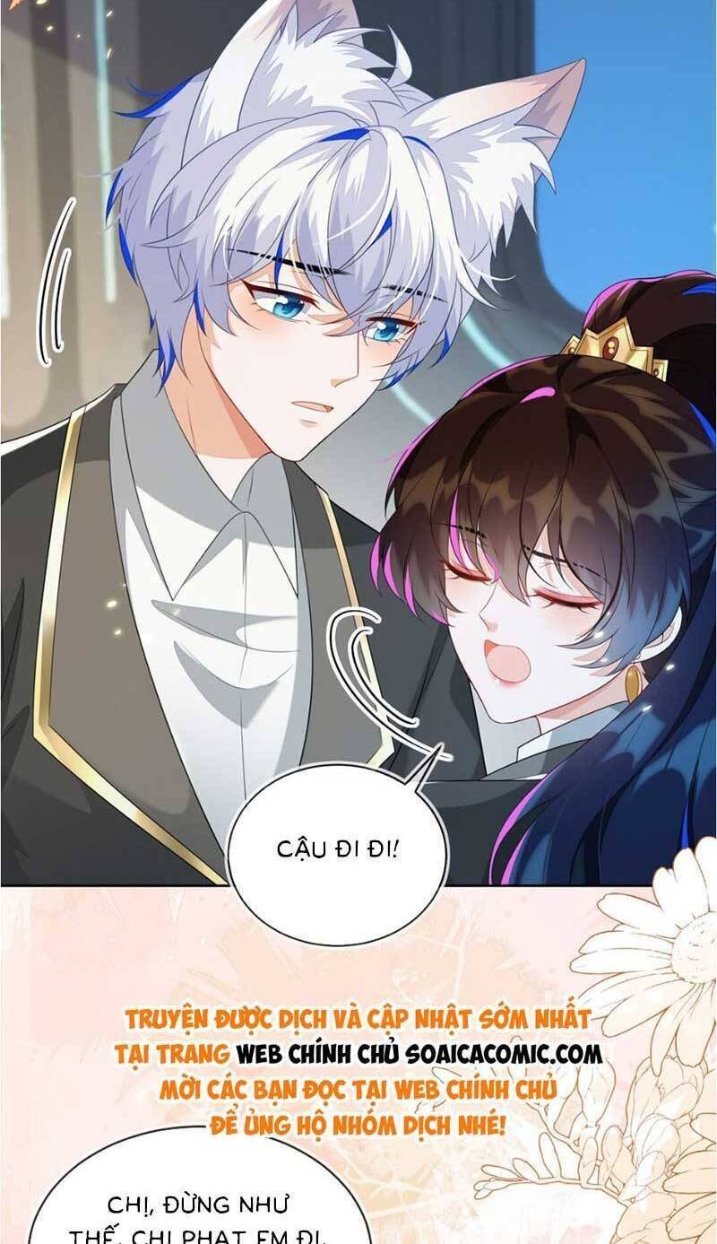 page_29.jpg