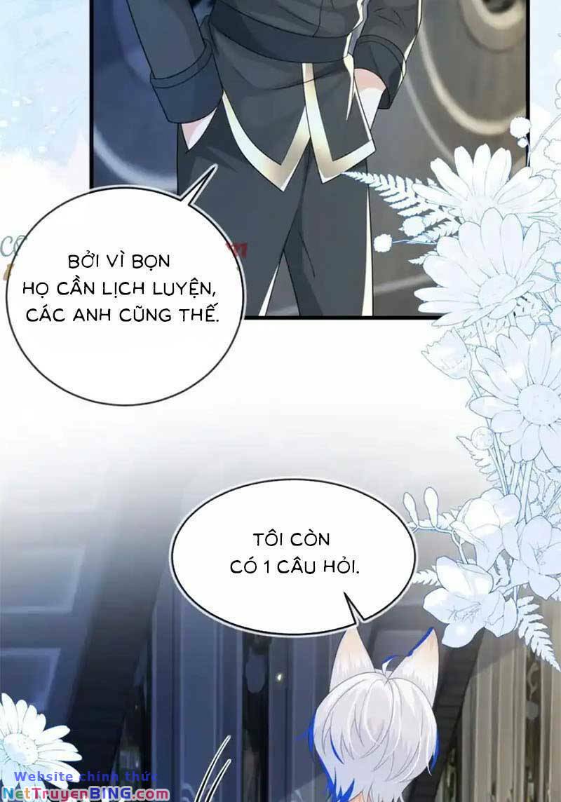 page_21.jpg