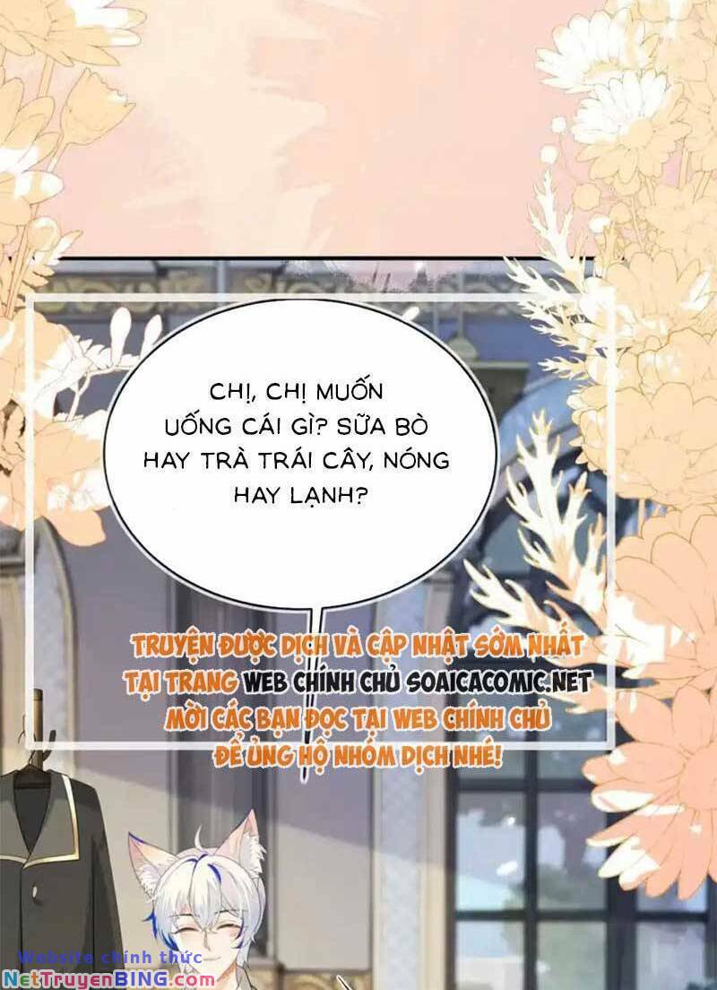 page_33.jpg