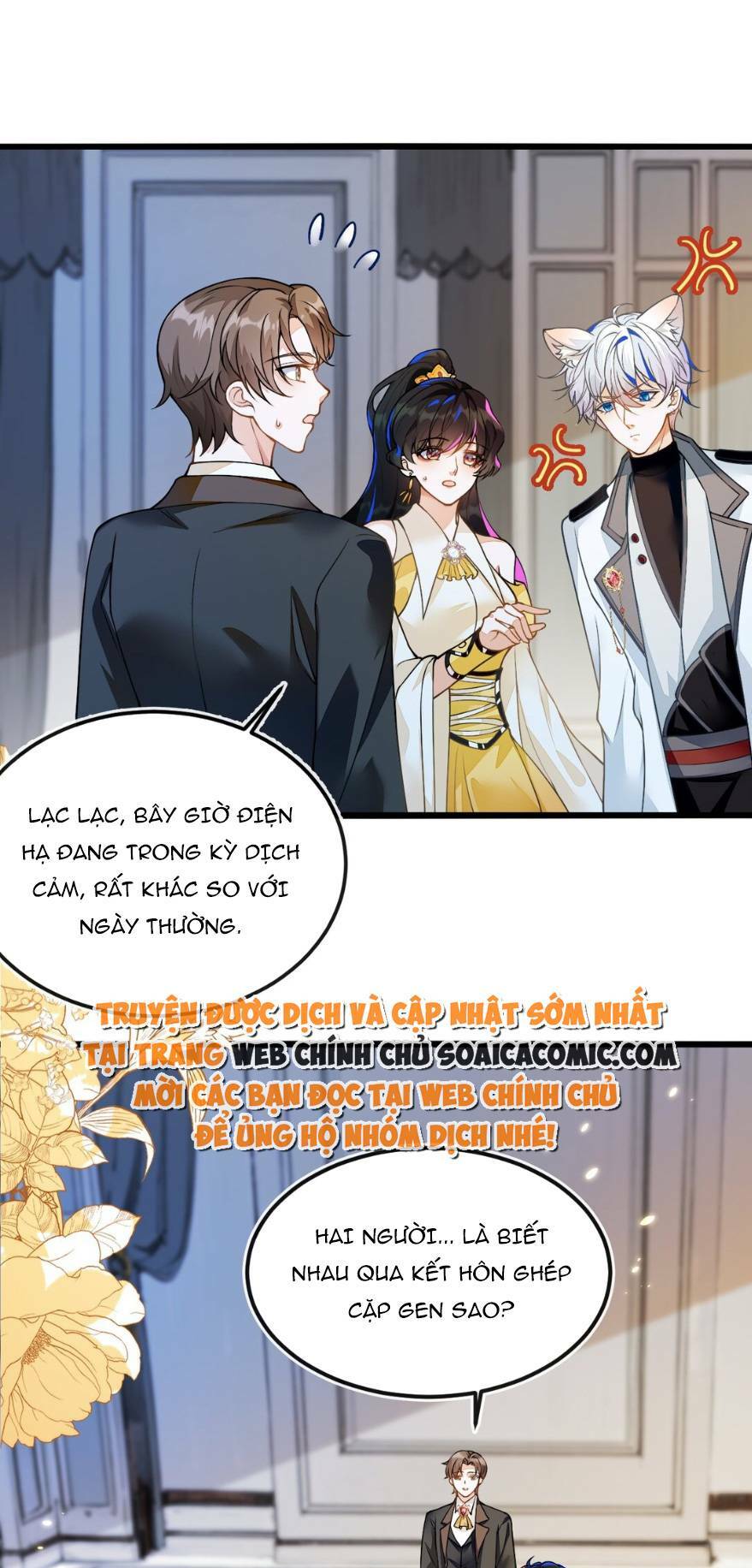 page_19.jpg