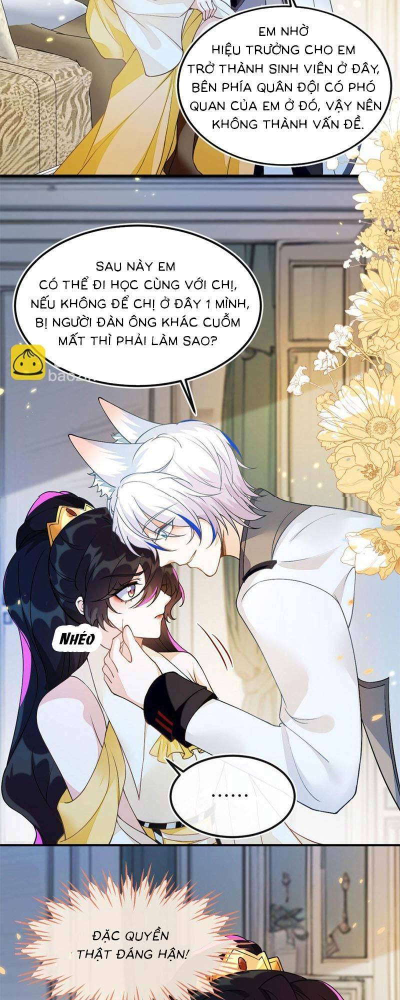page_13.jpg