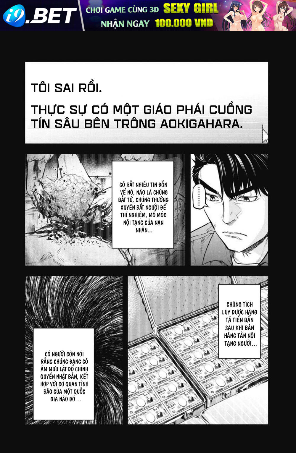 page_14.jpg