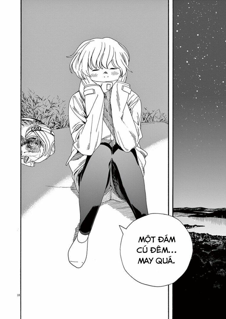 page_19.jpg