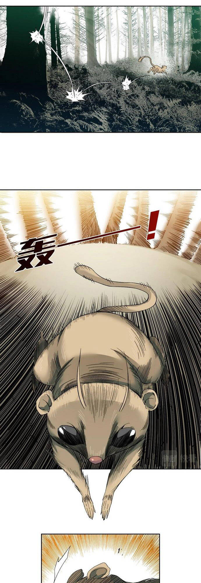 page_16.jpg