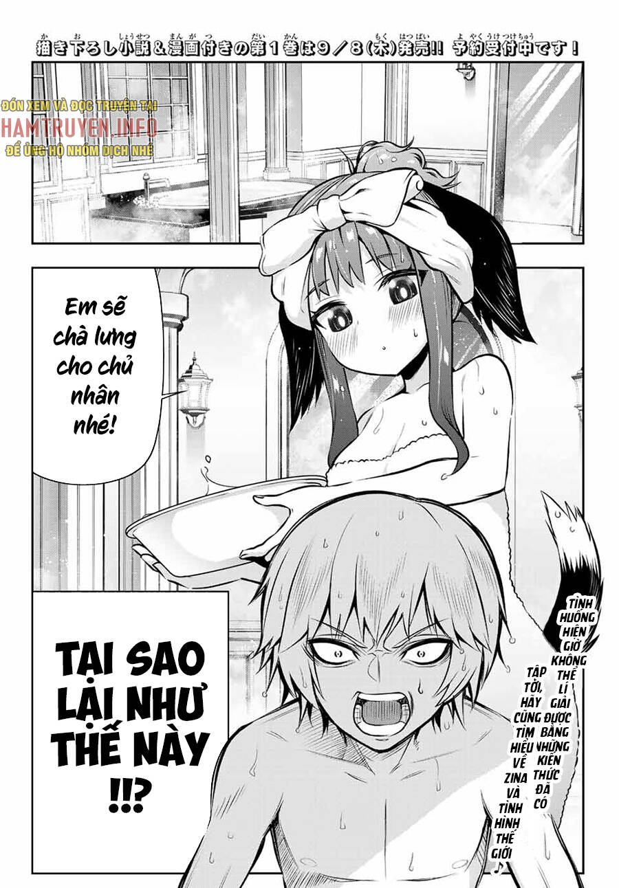 page_14.jpg