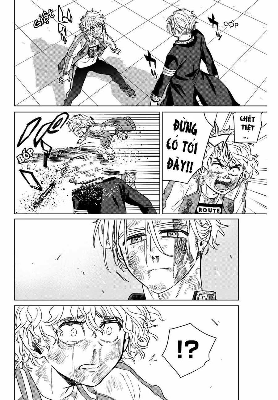 page_17.jpg