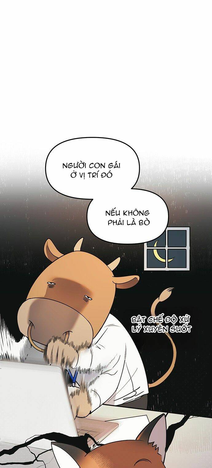 page_30.jpg