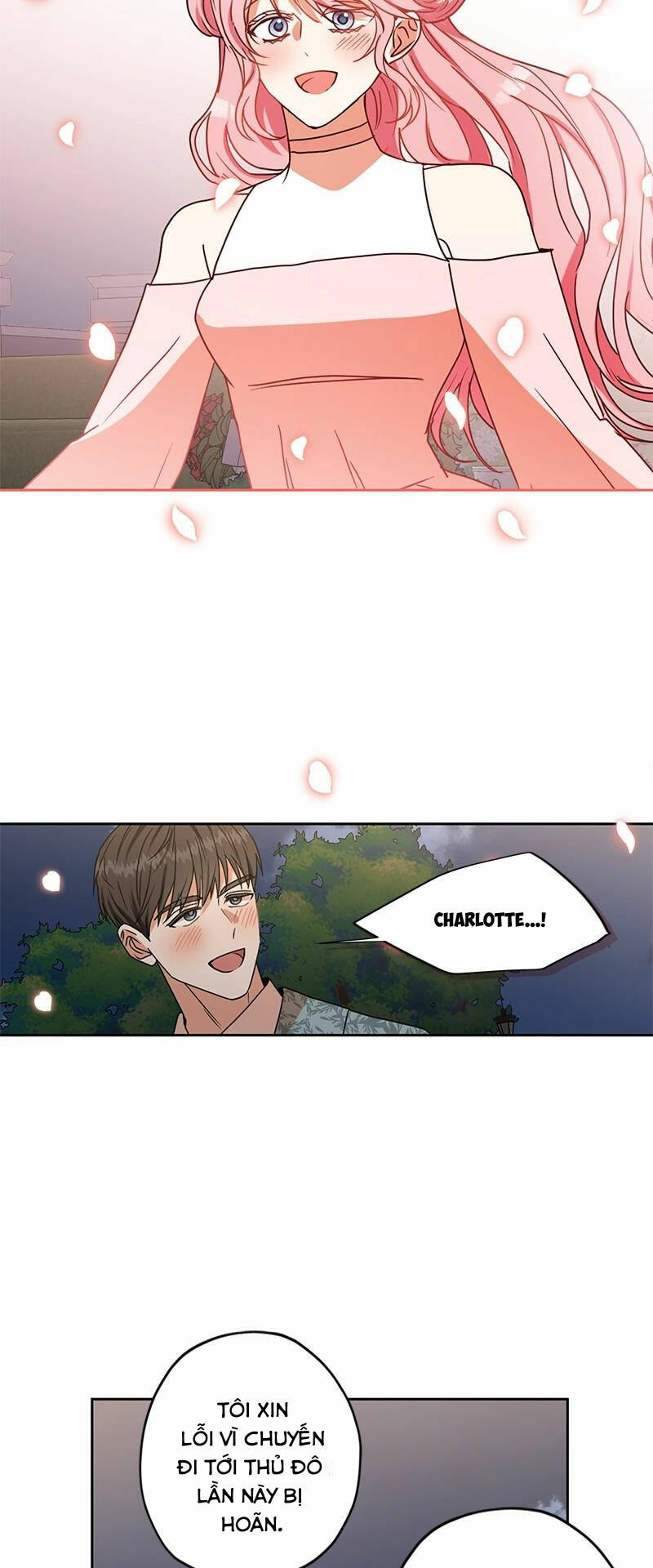 page_20.jpg