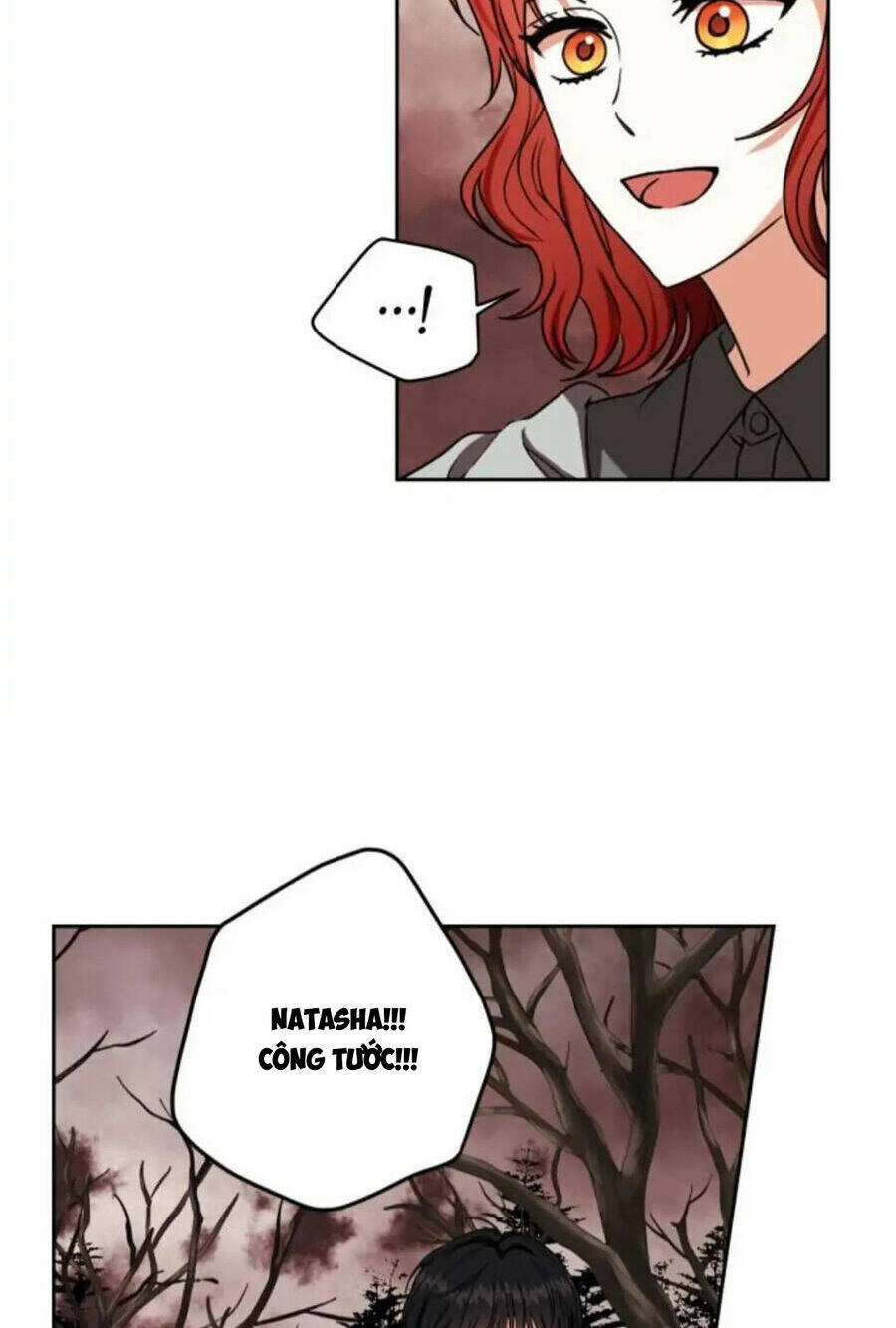 page_11.jpg