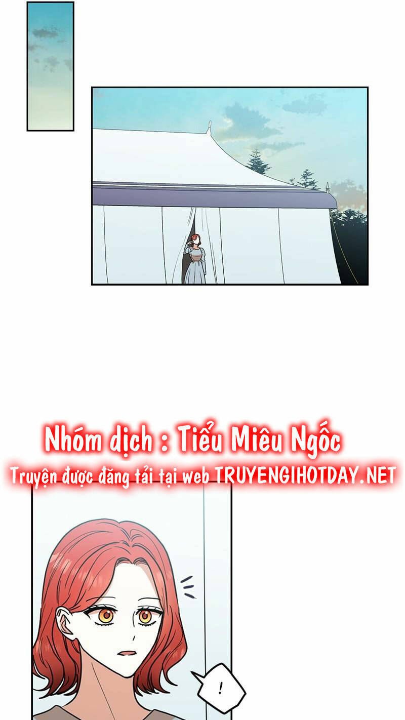 page_19.jpg
