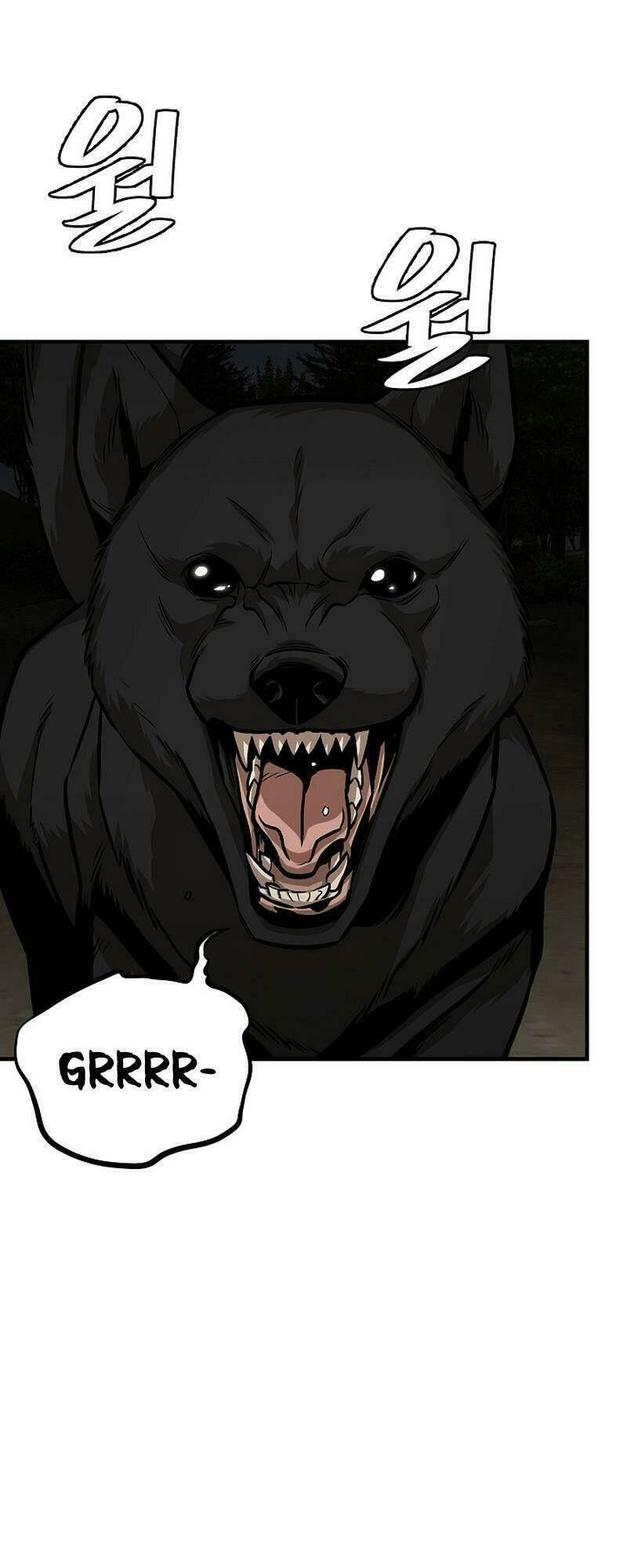 page_26.jpg